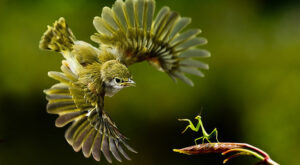 Imágenes sorprendentes en el lugar y el momento adecuado