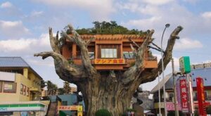 ¡Esta casa es una ruina!: ¿te atreverías a vivir en alguna de ellas?