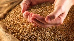 Oxfam Intermón presenta el primer café que ayuda a dormir