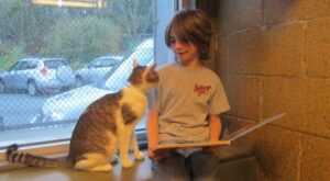 Momentos tiernos: unos niños aprenden a leer junto a gatitos abandonados