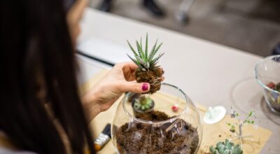 ¿Cómo hacer tu propio terrario en casa? 5 ideas muy originales