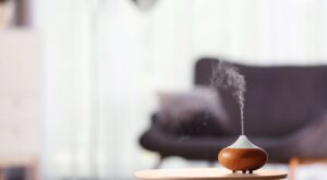 ¿Cuáles son los mejores ambientadores para tu casa?