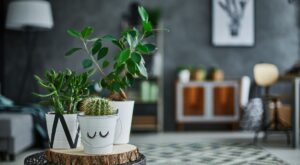 Las mejores plantas artificiales para decorar tu casa sin esfuerzo