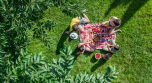¿Qué llevar a un picnic? Ideas para un día en el campo