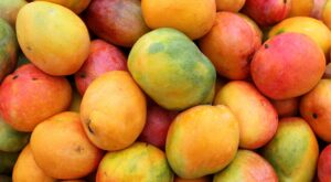 Propiedades del mango: una fruta tropical con muchos beneficios