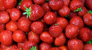 8 excelentes alimentos antiinflamatorios para una vida más saludable