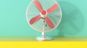 ¡Ola de calor! Protégete con los mejores ventiladores y climatizadores en oferta