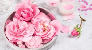 ¿Aún no conoces todos los beneficios que el agua de rosas tiene en tu piel?