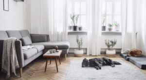 7 objetos domésticos que aumentan el riesgo de cáncer