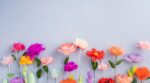 Cómo hacer flores de papel paso a paso