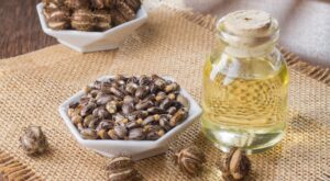 El aceite de ricino: el mejor aliado en tu rutina de belleza