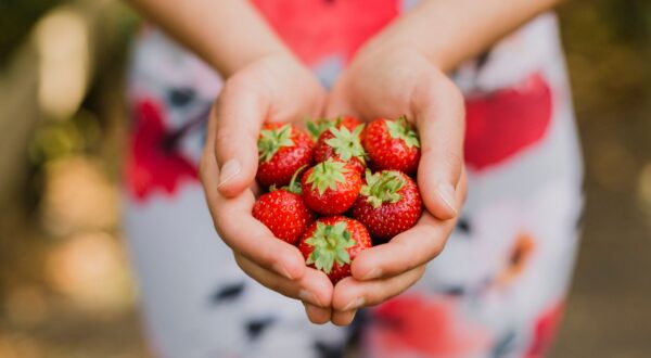 Propiedades de las fresas: 10 beneficios que no conocías