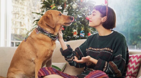 Estos son los alimentos que no debes dar a tu perro esta Navidad