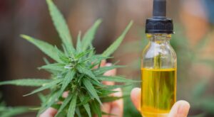 Beneficios del aceite de cáñamo