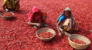 Desigualdad económica y social, brechas que afectan más a las mujeres