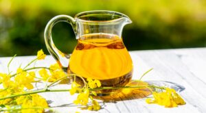¿Es hora de recuperar el aceite de colza? Estas son sus propiedades