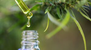 ¿Puede el cannabidiol ayudarnos a contrarrestar el estrés?