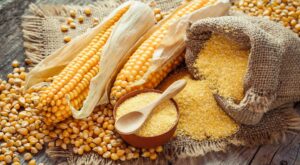 Diferencia entre almidón, harina de maíz y maizena, ¿sabes distinguirlas?