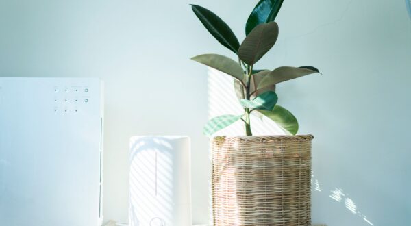 Estos son todos los beneficios de tener un humidificador en casa