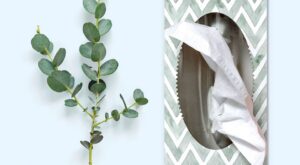 6 remedios caseros para acabar con la congestión nasal de forma natural