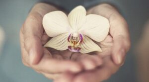 La verdad femenina: 20 datos que no sabes sobre tu vagina