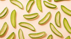 Piel sensible, depilación, acné…¿Cómo cuidarse con gel de aloe vera?