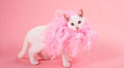 Estos 3 signos astrológicos son verdaderas drama queen, ¡siempre en exceso!