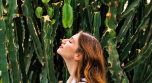 ¡Te revelamos la planta que corresponde a tu signo del zodiaco!