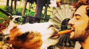 Los 10 mejores tweets de la semana: del 11 al 17 de abril de 2014