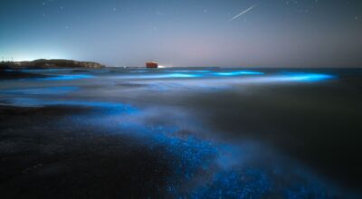 Descubre la magia de estas playas bioluminiscentes que puedes ver en España