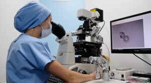 España lidera la donación de óvulos en Europa