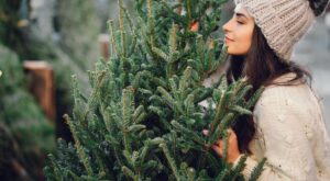 El dilema ecológico de la Navidad: ¿Árbol natural o artificial?