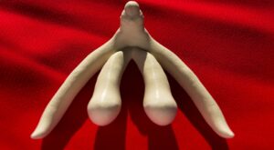 Toda la verdad sobre el clítoris: el órgano secreto de la felicidad femenina revela sus misterios