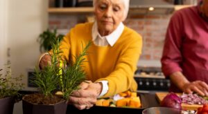 ¿Quieres mejorar tu memoria? Añade romero a tu dieta