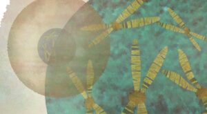 Descubren por qué las mujeres son más propensas a las enfermedades autoinmunes