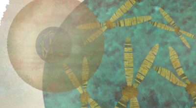 Descubren por qué las mujeres son más propensas a las enfermedades autoinmunes