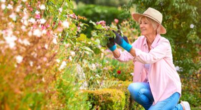 Cuida tu jardín y no podes estas plantas en junio si quieres que vuelvan a florecer