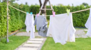 Adiós ropa húmeda: Lidl lanza su gadget rebajado a 19,99€ para secar la ropa en pisos pequeños