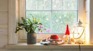 Ha llegado hoy a Aldi la planta de Navidad más bonita, resistente y elegante por 1,99 euros (y no es la Flor de Pascua)