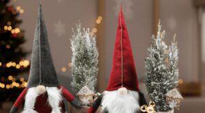 Aldi se corona con las plantas de Navidad más bonitas para regalar a tu madre o a tu suegra en fiestas (desde 1,99€)