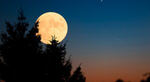 La Luna Llena en Leo iluminará el cielo durante la noche del 12 de febrero y traerá buenas noticias a estos 4 signos