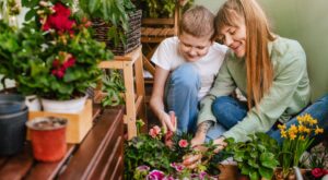 Aldi ‘regala’ desde 1,69 € las plantas que transformarán tu balcón en un pequeño oasis particular: margaritas, calas…