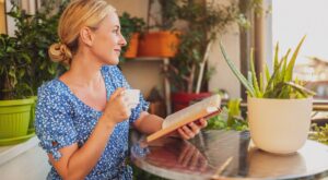 Adiós a los vecinos curiosos: Aldi arrasa con la solución perfecta para ganar privacidad en tu balcón por menos de 25€