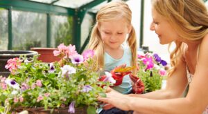 Olvídate del geranio: esta es la planta que explota en flores y todas querrán en su jardín para llenarlo de color