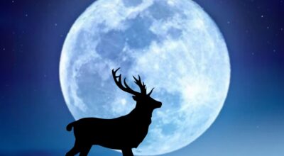 Luna de Ciervo 2025: así es cómo afectará esta luna llena del 10 de julio a tu signo (y estos 4 lo notarán aún más)