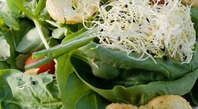 Ensaladas a mediodía