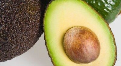 El aguacate