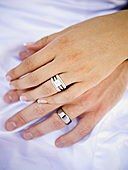 Alianzas: manual del usuario