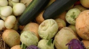 Las verduras olvidadas