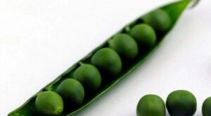 Los guisantes